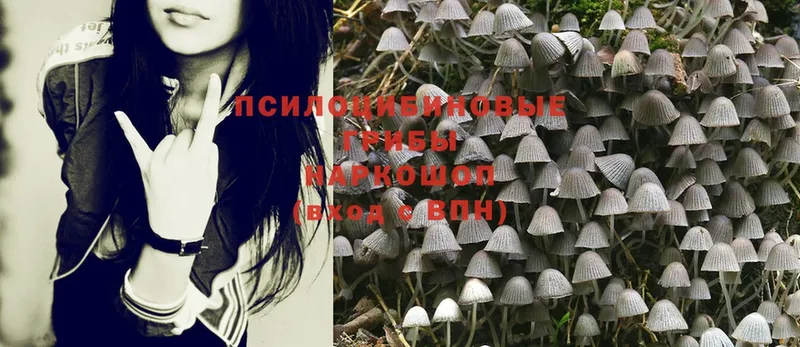 Псилоцибиновые грибы MAGIC MUSHROOMS  купить закладку  МЕГА маркетплейс  Нефтекамск 